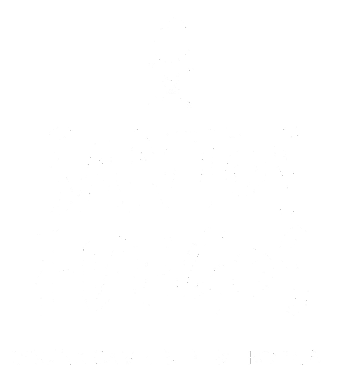 logo santosfuego